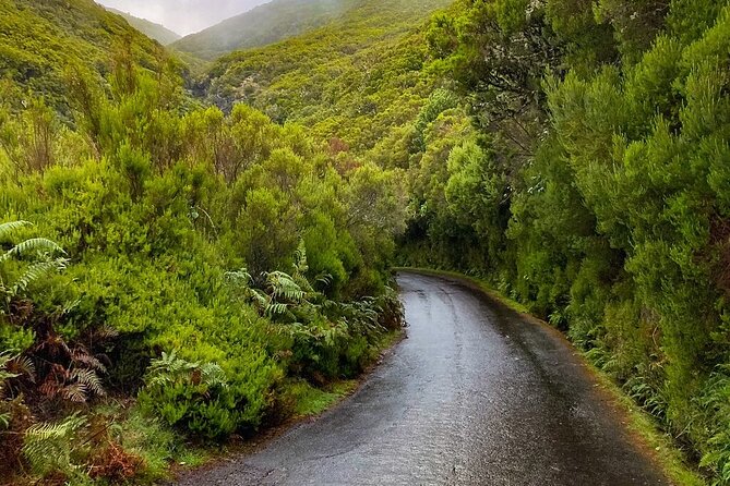 PR6 & PR6.1 25 Fontes & Risco Levada Self-Guided Hiking Rabaçal - Finish at Casa do Rabaçal, Plus Your Chance to Add One More Trail