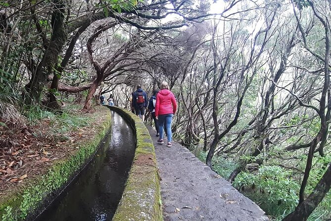 PR6 & PR6.1 25 Fontes & Risco Levada Self-Guided Hiking Rabaçal - So Who Should Book This Self-Guided Version?