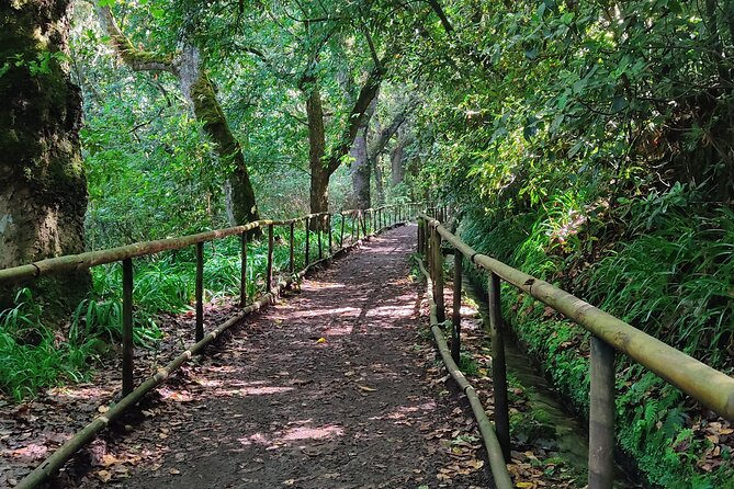 PR9 Caldeirão Verde Queimadas Levada Self-Guided Hiking Transfer - Key things to know before you go