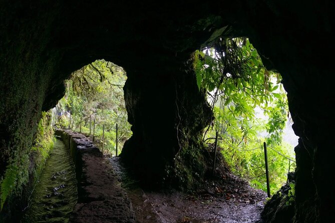 PR9 Caldeirão Verde Queimadas Levada Self-Guided Hiking Transfer - Who this is best for (and who might want a different Madeira plan)