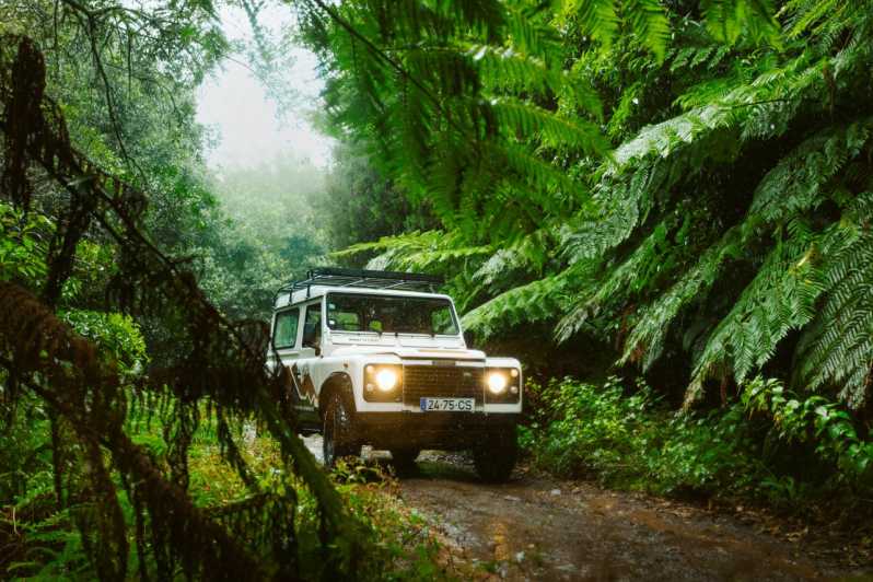 Priv. East: 4x4 Tour|Pico do Areeiro|Santana Typical Houses| - Key Highlights You’ll Actually Care About