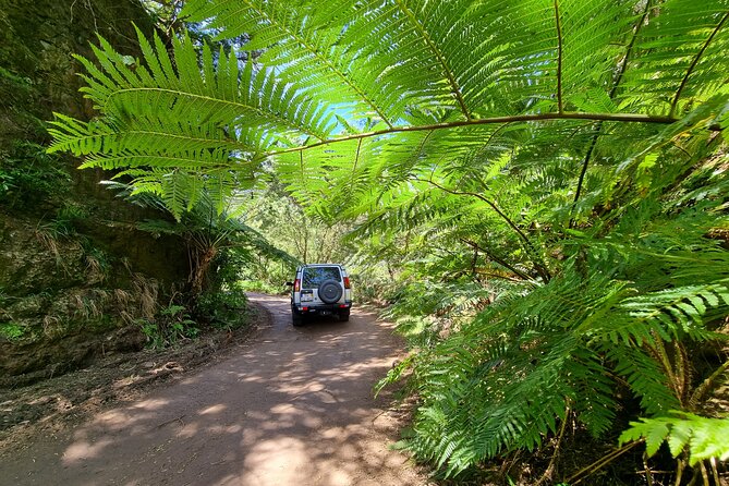 Private 4x4 Jeep Full Day Porto Moniz or Santana - What’s included, what costs extra, and how to budget without stress