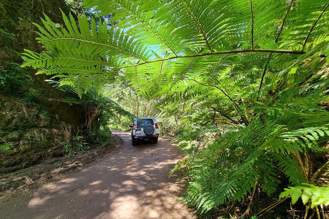 Private 4x4 Jeep Half Day - Picturesque Peaks, Vineyards, Skywalk - Price and value: $240.05 per group, then only a few extras