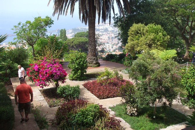 Private Botanical Garden Tour - Tuk-tuk in Funchal: fast hills, big views, zero stress