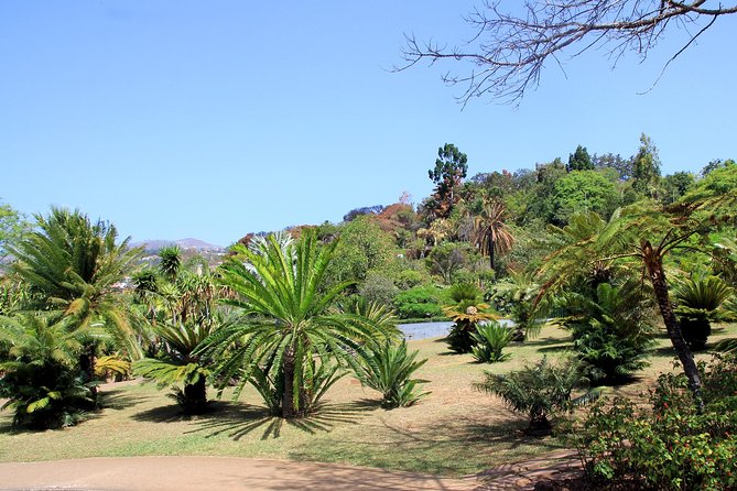 Private Botanical Garden Tour - Starting at Funchal’s central market: a quick hit of local life