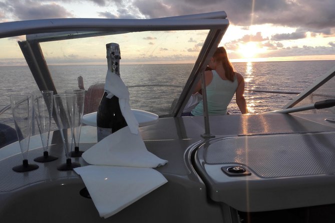 Private Dolphin and Whale Watching Tour in Madeira - Key highlights that matter on the water