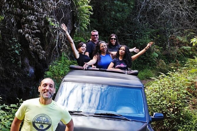 Private East True Mountains to Santana and Ponta de Sao Lorenco - Why this East Madeira 4x4 day feels different from city tours