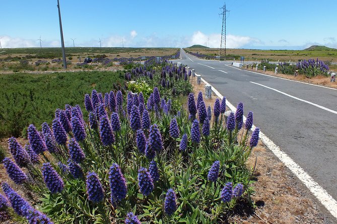 Private Full Day 4X4 Experience: East or West - East or West: choosing your Madeira mood