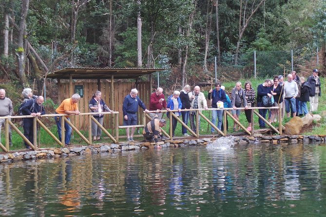 Private Full Day 4X4 Experience: East or West - Porto Moniz natural swimming pools: scenic breaks, not a rushing stop