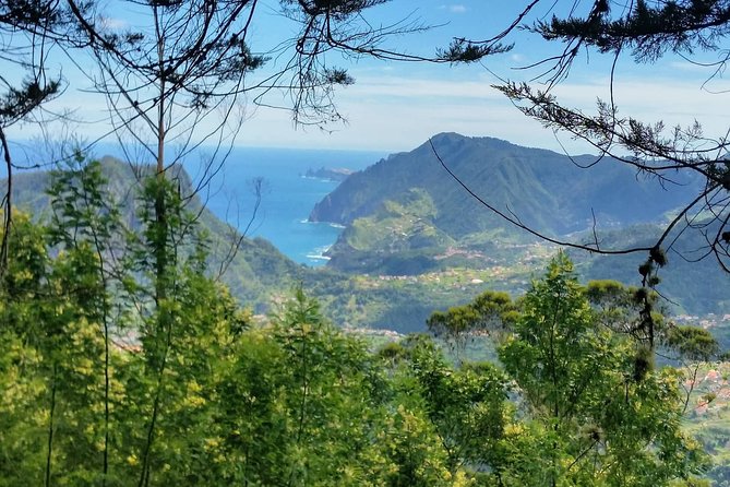 Private Full Day Off-Road Tour in Madeira - Porto Moniz Natural Swimming Pools: Lunch, a Volcanic Swim, and North Coast Drama