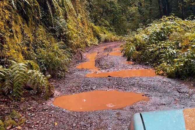 Private Full Day Tour by Jeep 4x4 in Madeira - East - Stop 1: Pico do Areeiro, Madeira’s high-access volcanic viewpoint