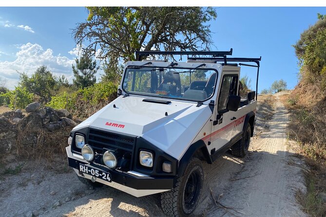 Private Full Day Tour in Madeira - Vereda do Fanal at Paul da Serra: 1,640 Meters Up, With the Chance to See Both Coasts