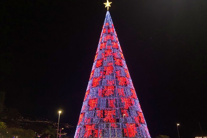 Private Funchal Christmas Light Tour - Key highlights to know before you go