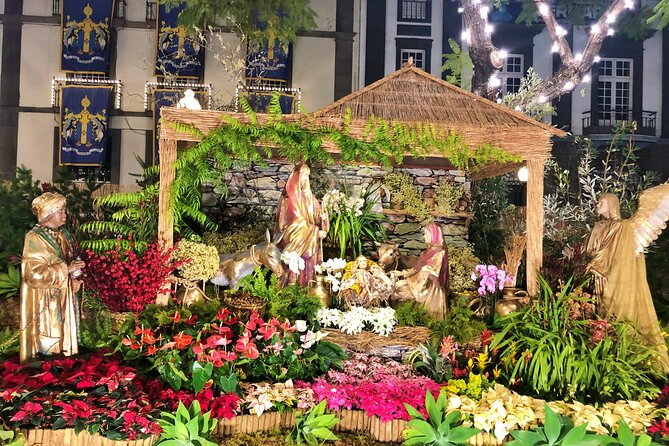 Private Funchal Christmas Light Tour - Transport, WiFi, and an English-speaking guide