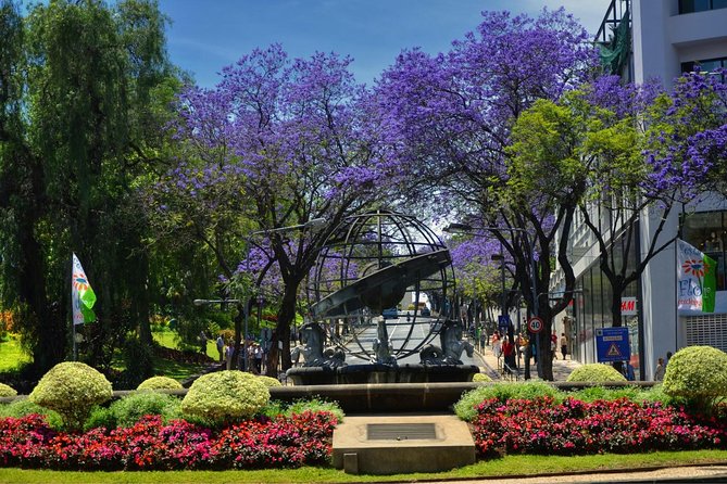 Private Funchal City Tour by Tukxi - Central Market and Municipal Square: Where Funchal Feels Like It Lives