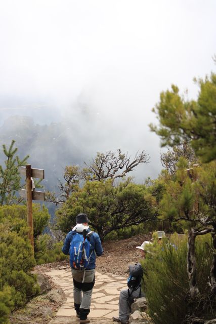 Private - Gastro Hike with Levada Walk and Local Food - Key things to know before you go