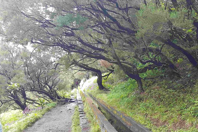 Private Guided Walk Levada 25 Fontes - Pickup from Funchal and the comfort of private transport