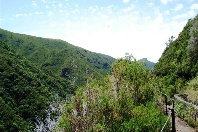 Private Guided Walk Levada 25 Fontes - Following the levada: what the 5 hours feel like in the real world