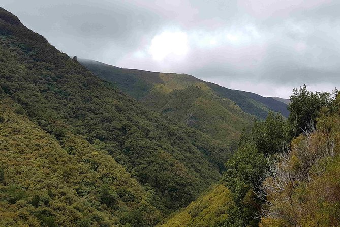 Private Guided Walk Levada 25 Fontes - Timing, pace, and what to pack for weather that changes fast