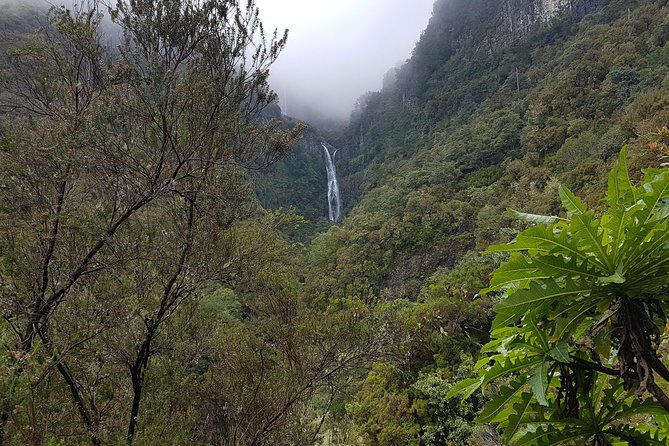 Private Guided Walk Levada 25 Fontes - Who this private guided walk is best for