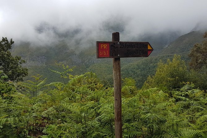 Private Guided Walk Levada 25 Fontes - The guide experience, including Mario’s anecdotes, and why it matters