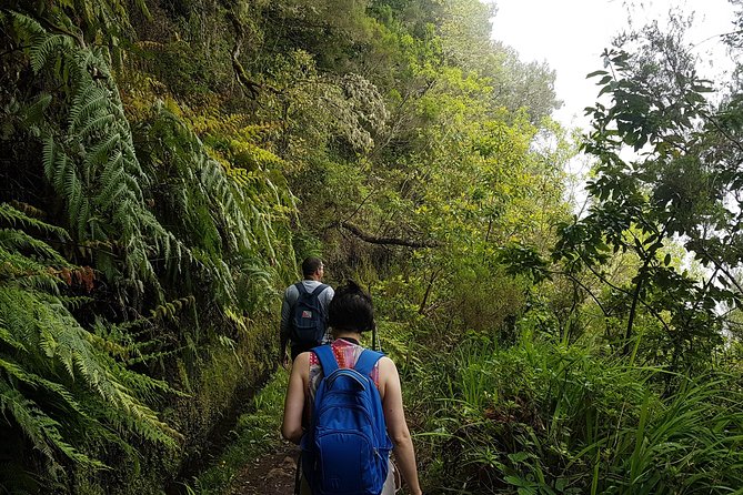 Private Guided Walk Levada Caldeirao Verde - Price and value: is $108.02 per person a good deal?