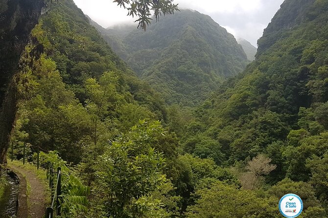 Private Guided Walk Levada Castelejo - Key Things to Know Before You Go