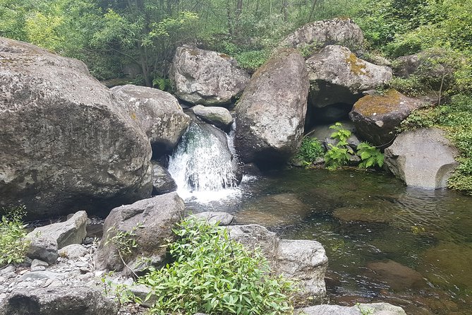 Private Guided Walk Levada Castelejo - Starting at Refertas, Porto da Cruz, and Why the First Hour Matters