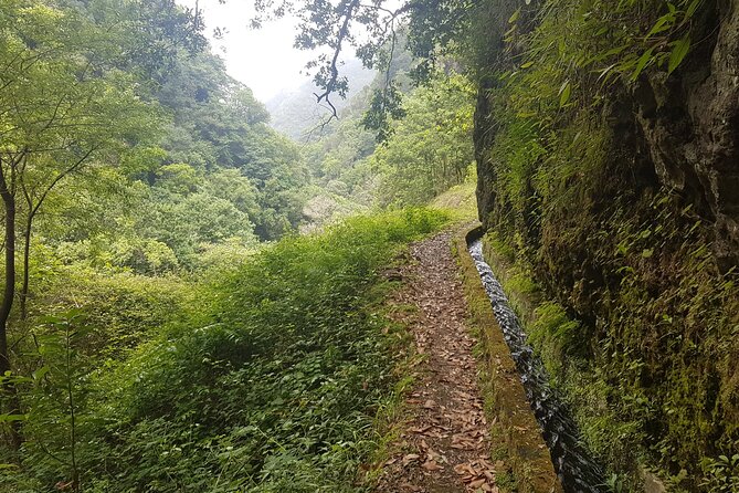 Private Guided Walk Levada Castelejo - Weather Reality: Operates in Many Conditions, Dress Like It