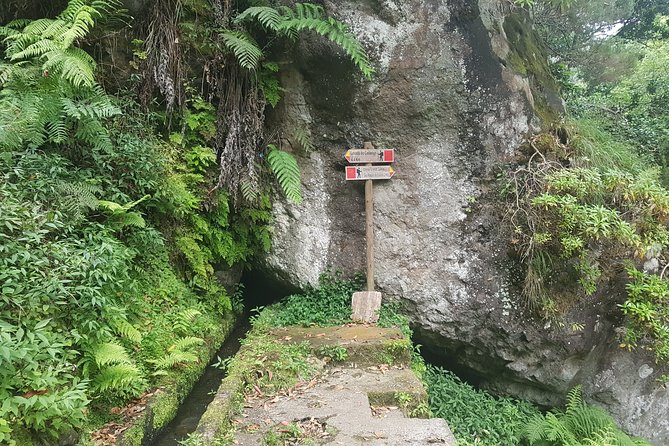 Private Guided Walk Levada Castelejo - Price and Value: What $108.89 Buys You in Real Terms