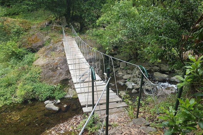 Private Guided Walk Levada Castelejo - What a Guided Levada Walk Changes for Your Experience
