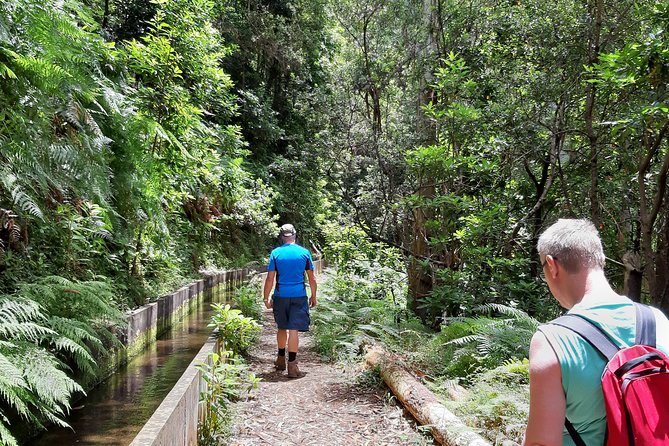 Private Guided Walk Levada Faja dos Rodrigues half-day - Key things I’d circle before you book