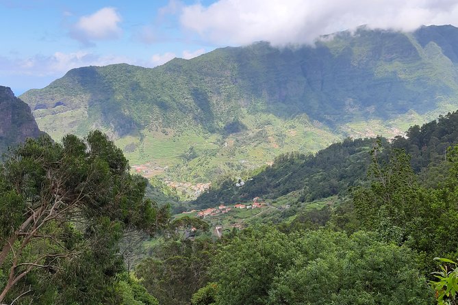 Private Guided Walk Levada Faja dos Rodrigues half-day - A Madeira half-day that actually fits real schedules