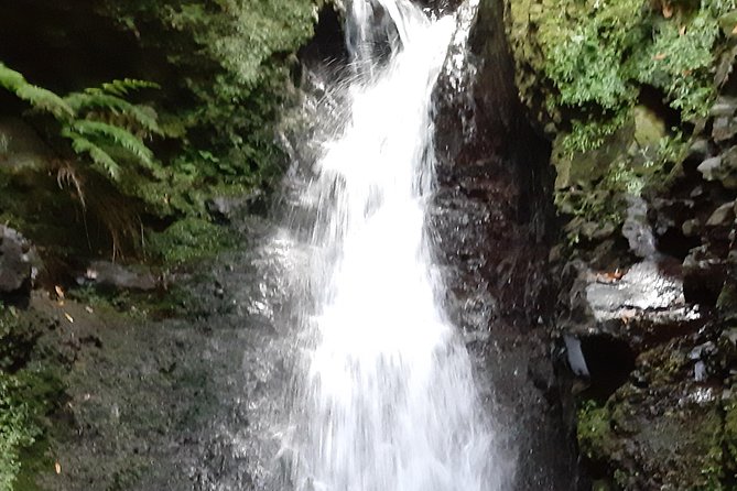 Private Guided Walk Levada Faja dos Rodrigues half-day - Tunnels on the path: bring a cap, and don’t skip the light