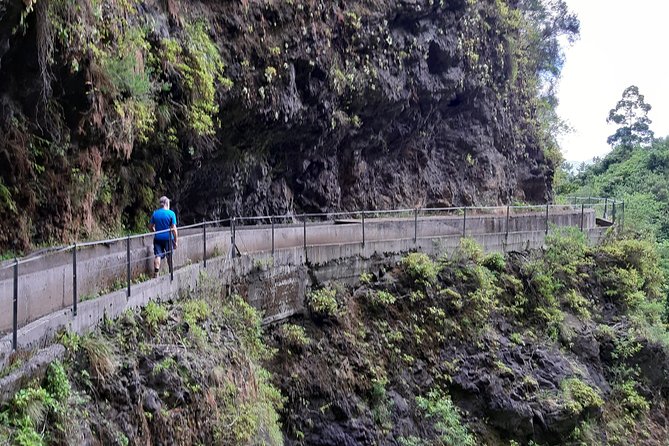 Private Guided Walk Levada Faja dos Rodrigues half-day - The start at Ginjas and the first moments that set the tone
