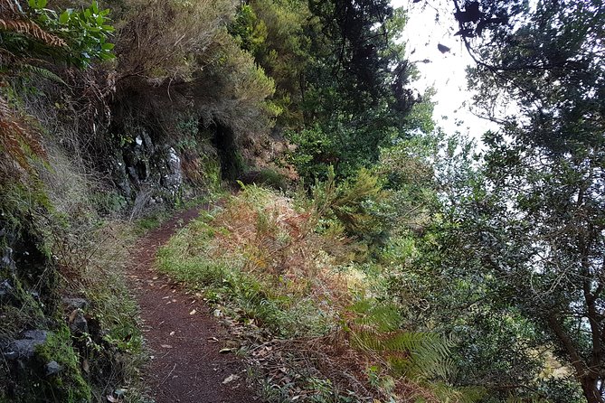 Private Guided Walk Vereda do Larano - Who this private Vereda do Larano walk suits best