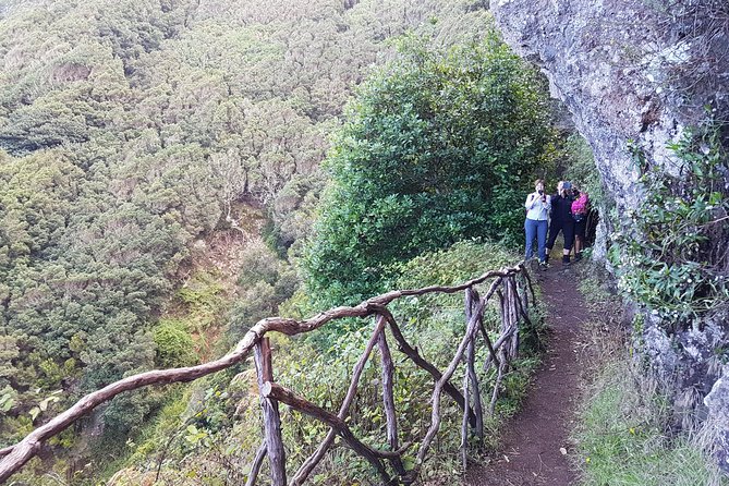 Private Guided Walk Vereda do Larano - Should you book this Vereda do Larano private walk?