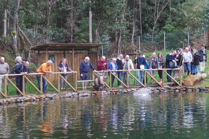 Private Half-Day 4X4 Experience: East or West - Responsible tourism angle: Biosphere Experiences certification