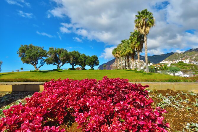 Private Half-Day Morning 4x4 Tour from Funchal - The Land Rover experience, and why the guide matters