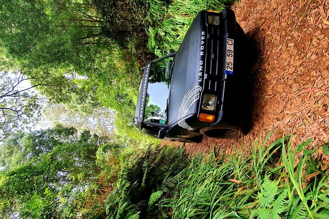 Private Half Day Off Road Tour in Madeira - Off-road through Quinta Grande, eucalypt forest, and farm country