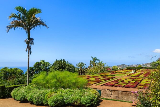 Private Half day tour around Madeira Island - Key things to know before you go