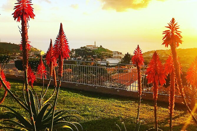 Private Half day tour around Madeira Island - Money, tickets, and what you should actually plan to spend