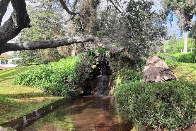 Private Halfday Flower Palheiro Gardens Tour - A private vehicle and pickup anywhere on Madeira
