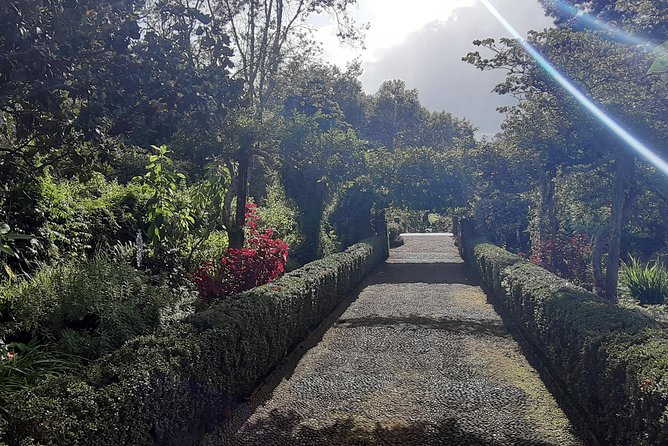 Private Halfday Flower Palheiro Gardens Tour - Hortensia Garden tea houses, apple pie, and panoramic views