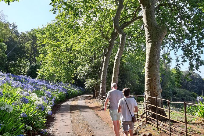 Private Halfday Flower Palheiro Gardens Tour - Time on the clock: how a 3-hour route feels