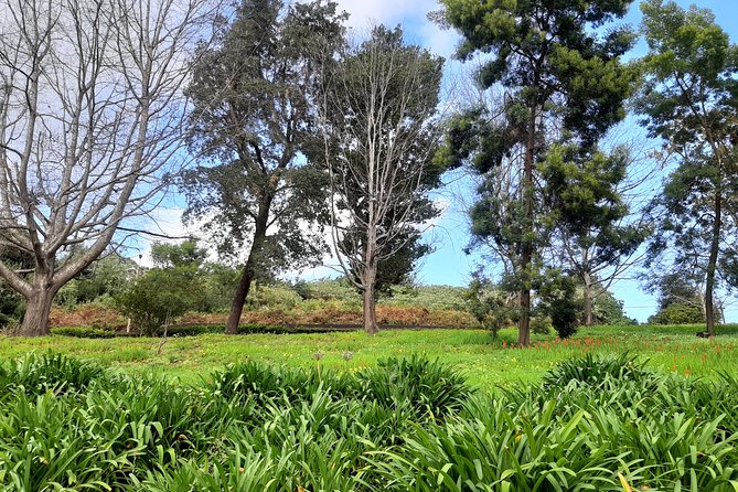 Private Halfday Flower Palheiro Gardens Tour - Guides and service style: what I think you should expect