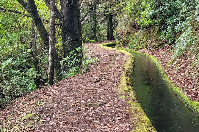 Private Jeep 4x4 : Madeira beyond the ordinary - Price and value: when $361.44 per group makes sense