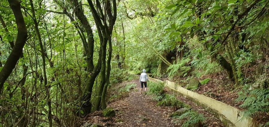 Private Jeep Tour West-Side Natural Pools - Seixal Black Beach, Waterfalls, and a Real Taste of São Vicente