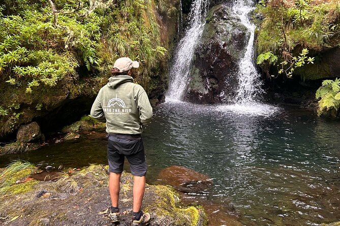 Private Levada Walks and Hiking Tours in Madeira - Key highlights worth planning around