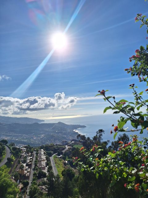 Private Madeira Highlights Full Day Tour - Cabo Girão Skywalk: the included “wow” that’s worth planning for